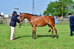 SBM_00969