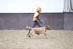 SBM_001374