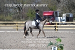 BPP_9190