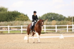 SBM_008744