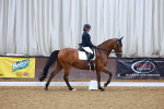 SBM_000681