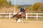 SBM_009296
