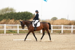 SBM_000017