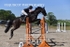 BPP_8419