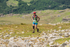 Duddon Short-354