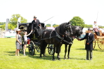 SBM_06689