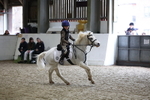 AJG_0366
