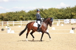 SBM_009391