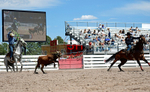 3HRodeo7-19-25_CFD_04227_Compton-Taylor