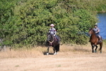 WJ6_7885