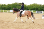 SBM_006421