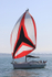 190825 PELOGISA - OCEANIS 361 1Y3A2438
