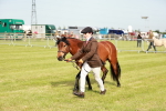 SBM_00483