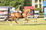 SBM_12333