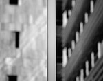 theme 4 week 2: SELECTIVE FOCUS