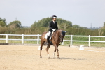 SBM_017389