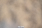 240323A-094419-01285