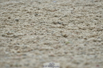 230708A-121547-02761