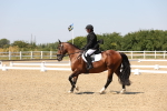 SBM_005076