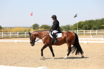 SBM_005077