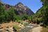 A walk through Zion