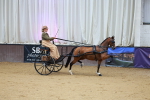 SBM_000146