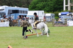 SBM_08210