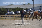 BPP_8287