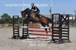BPP_8395