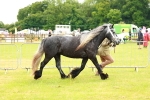 SBM_00366