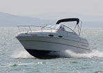 140601 FREEDOM FOUR WINNS 238 VISTA WT7A5012
