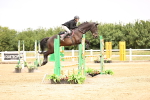 SBM_003355