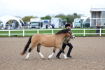SBM_00242