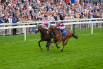 230825-Race 2-Tarriance-0022