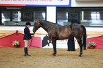 SBM_20105