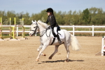 SBM_006846