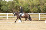 SBM_002655