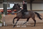 BPP_9555