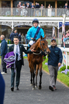 150526-Race 4-Love A Giggle-7822