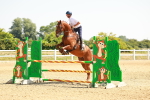 SBM_000653