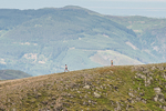Helvellyn-119