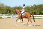 SBM_002213