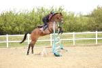 SBM_000659