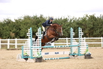 SBM_008445