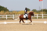 SBM_004312