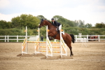 SBM_002396
