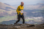 Coledale-995