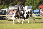 SBM_12290
