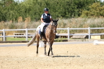 SBM_002646