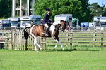 SBM_11673